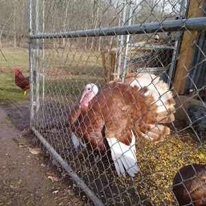 Meet your Posher, Michael